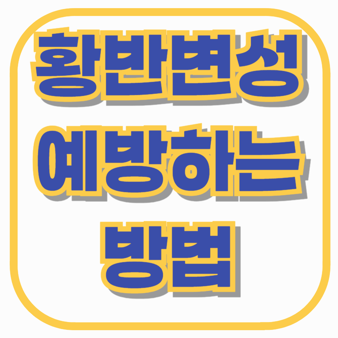 황반변성 예방하는 방법 총정리! 눈 건강 지키는 생활습관과 루테인 섭취법까지