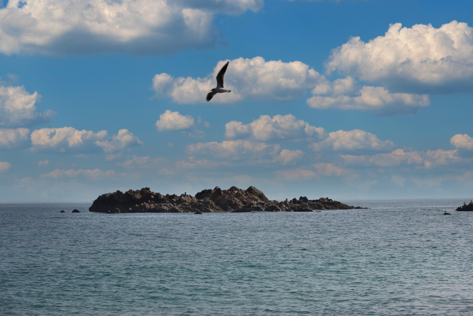 경주 가볼만한 곳 베스트 10 (2025 최신판)