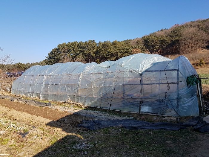 논산지원2021타경2666 기호(1) 지상 제시외건물(ㄴ) 전경
