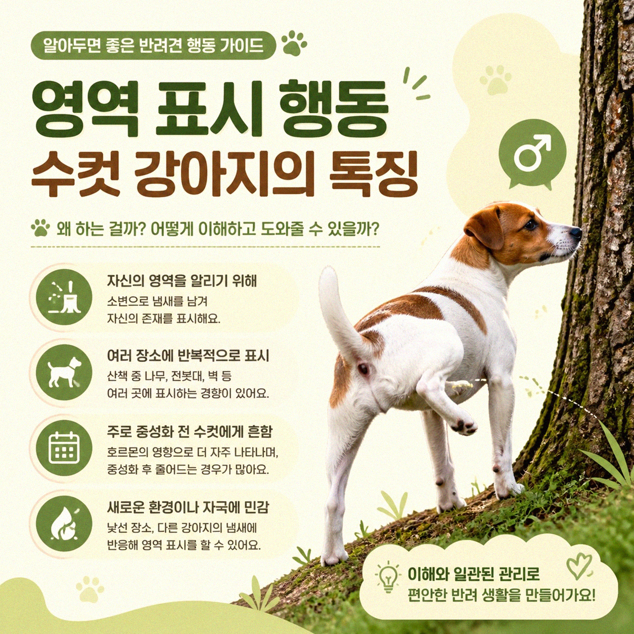 우리 강아지, 수컷 암컷 행동 차이점 진짜 다를까