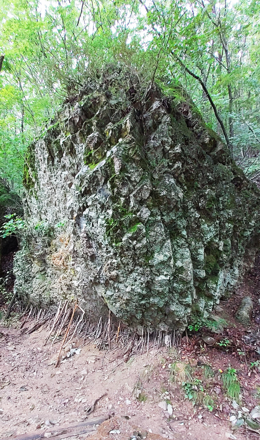 경북 청송군 주왕산 바위 지지대