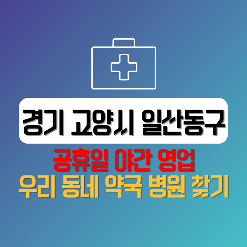 경기 고양시 일산동구 공휴일 야간 영업 우리 동네 약국 병원 찾기