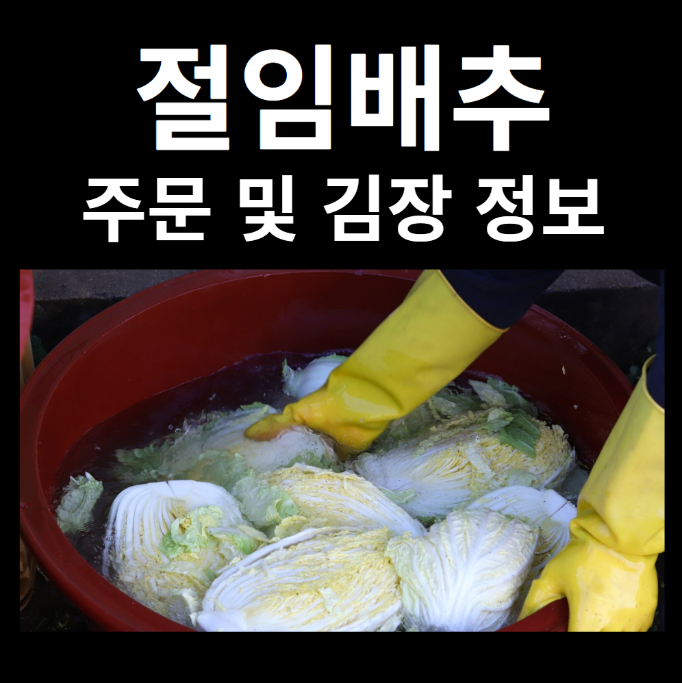 절임배추 20kg과 10kg 구매 시 배추 포기 수와 추천 김장 정보