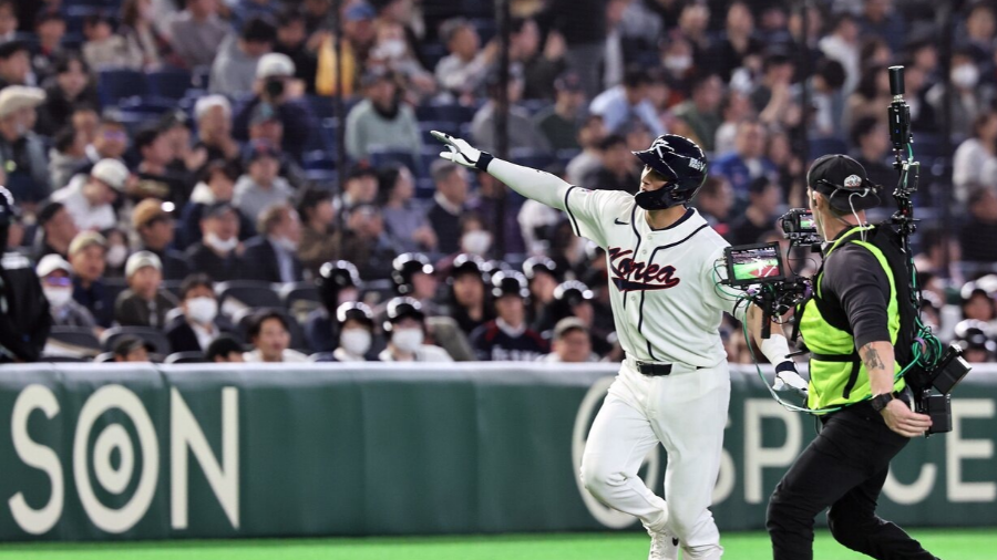 셰이 위트컴 프로필