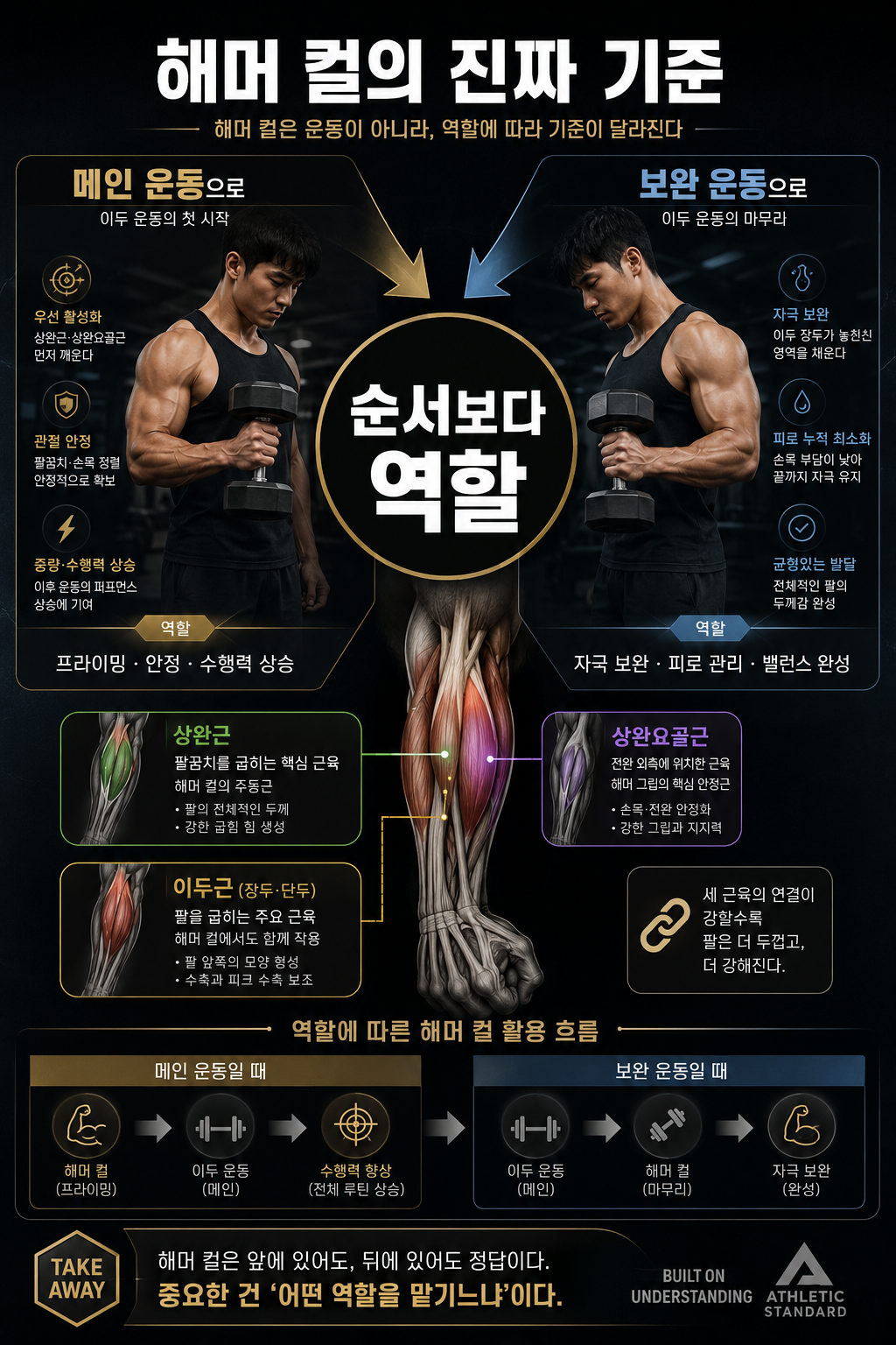 해머 컬의 진짜 기준