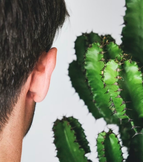 메니에르 병 원인 증상 치료법