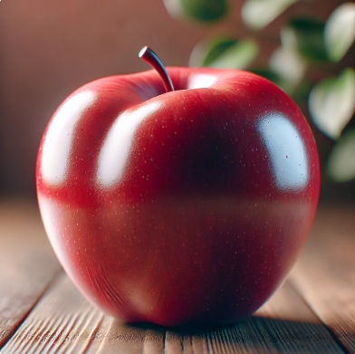 사과 관련 사진