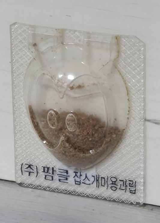 설치하고 시간이 지난 사진3