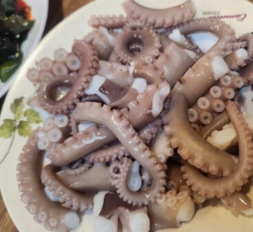 낙지 손질법