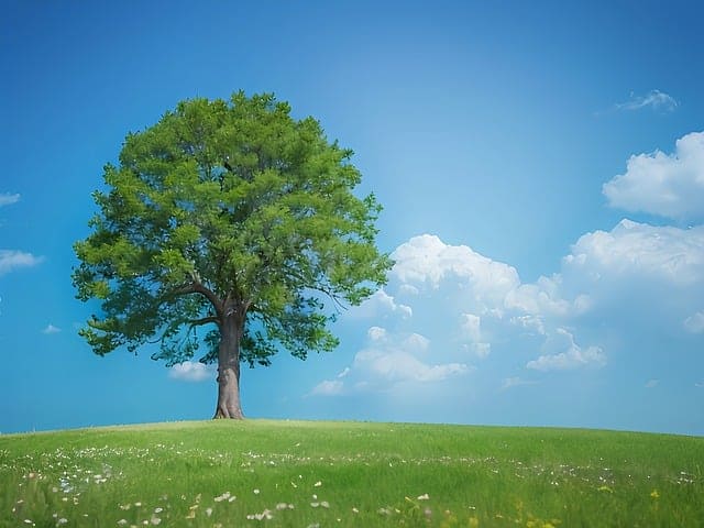 계절별 지출관리와 재테크 전략