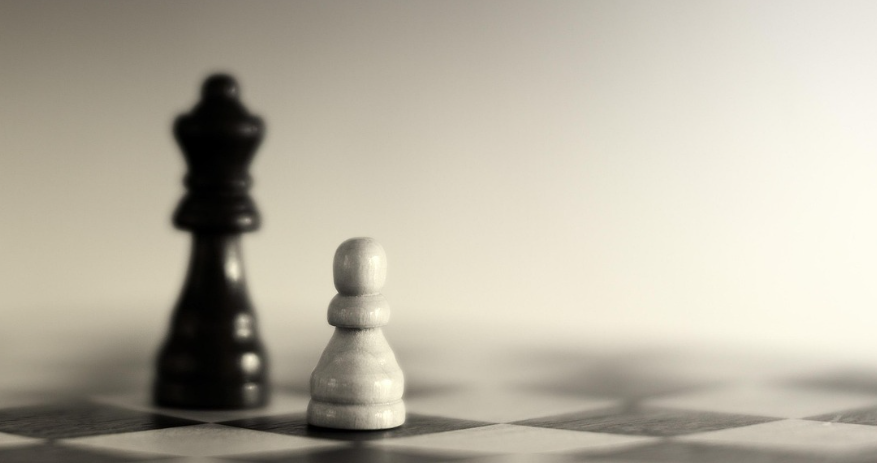 창업 비교 분석