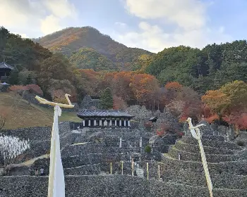 하동 삼성궁_21