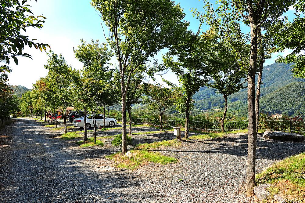 경기도 동두천 파인힐빌리지 캠핑장 소개