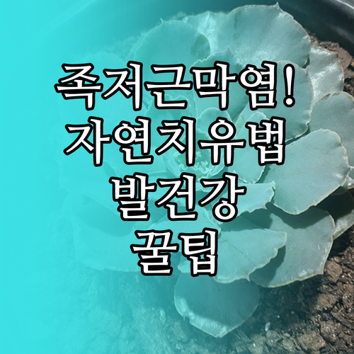 족저근막염 자연치유 기간과 발 건강 ..