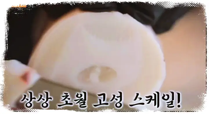 식객 허영만 백반기행 류진 낚시로 잡은 참문어 대문어 요리 문어숙회 문어전 문어초회 문어 국밥 강원도 고성 맛집 소개