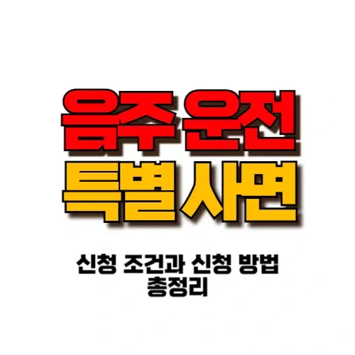 운전면허 특사 포스터이미지