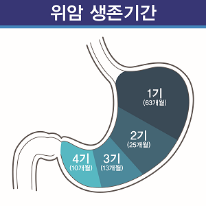 위암 증상