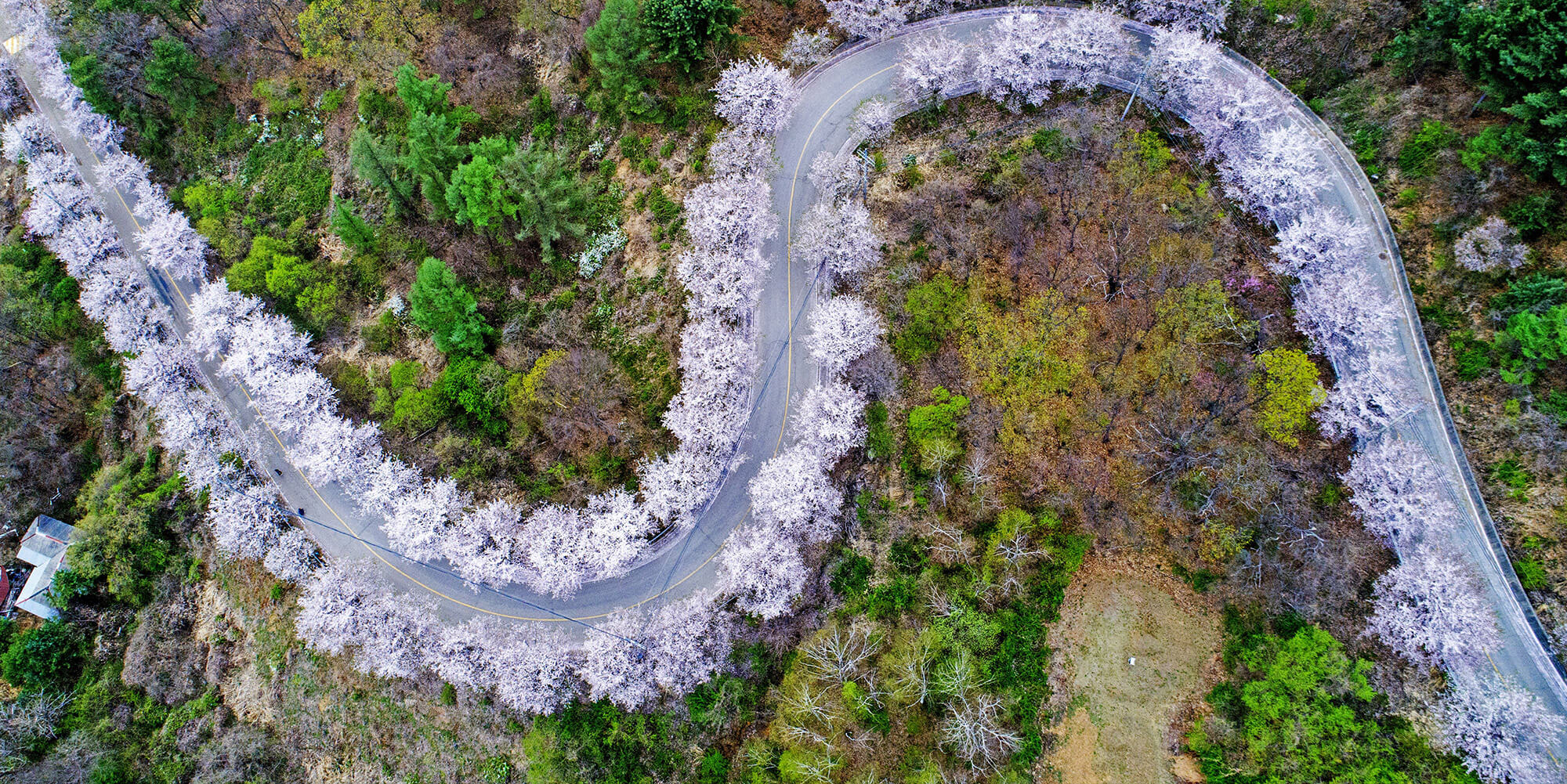 춘천가볼만한곳