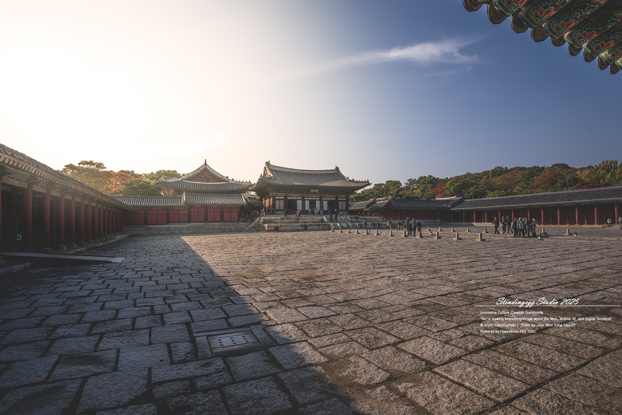 #서울 #창경궁 #궁궐 #조선 #왕