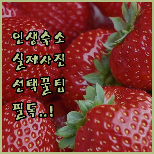 베이 오브 아일랜즈 여행 숙소 고르는..