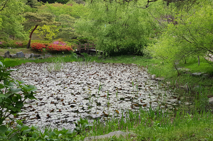 태안 안면도 수목원