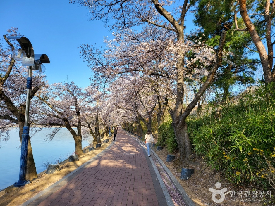 경주 가볼만한 곳 베스트 10 (2025 최신판)