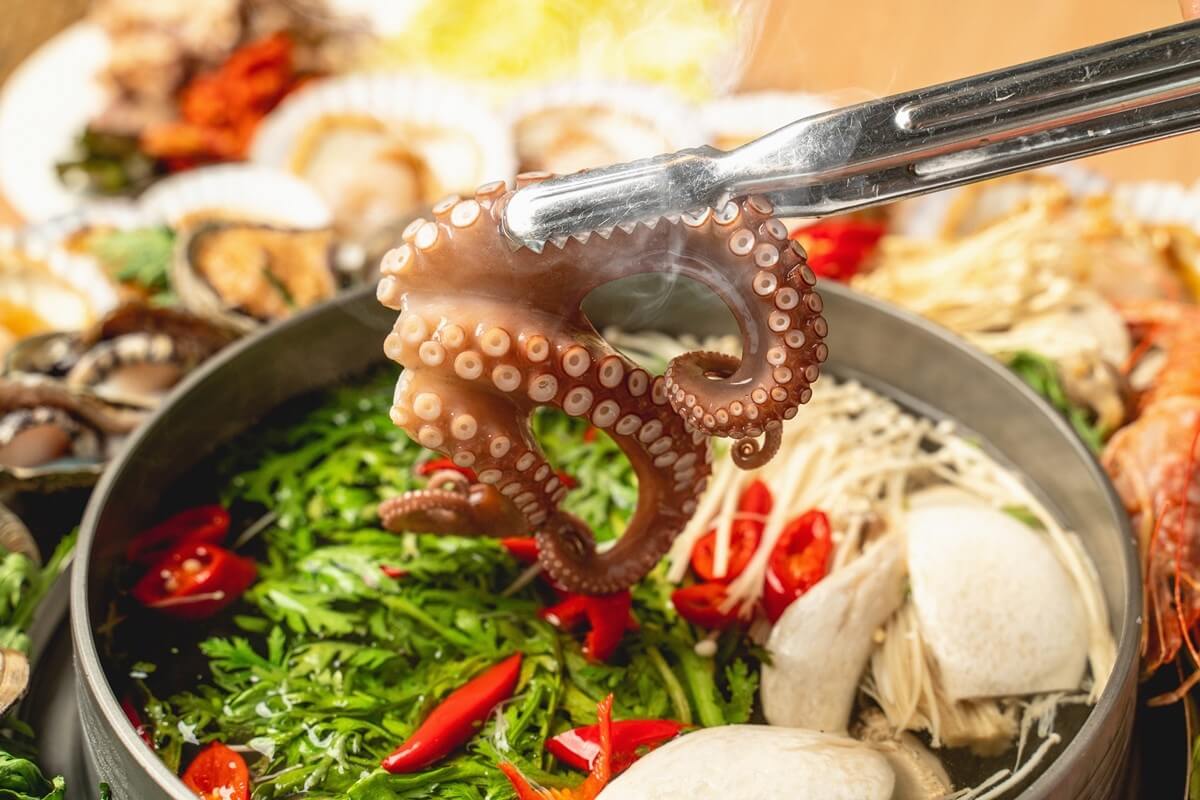 생방송오늘저녁 꽃쟁반칼국수 오이도 칼국수 맛집