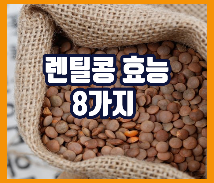 렌틸콩 효능 8가지