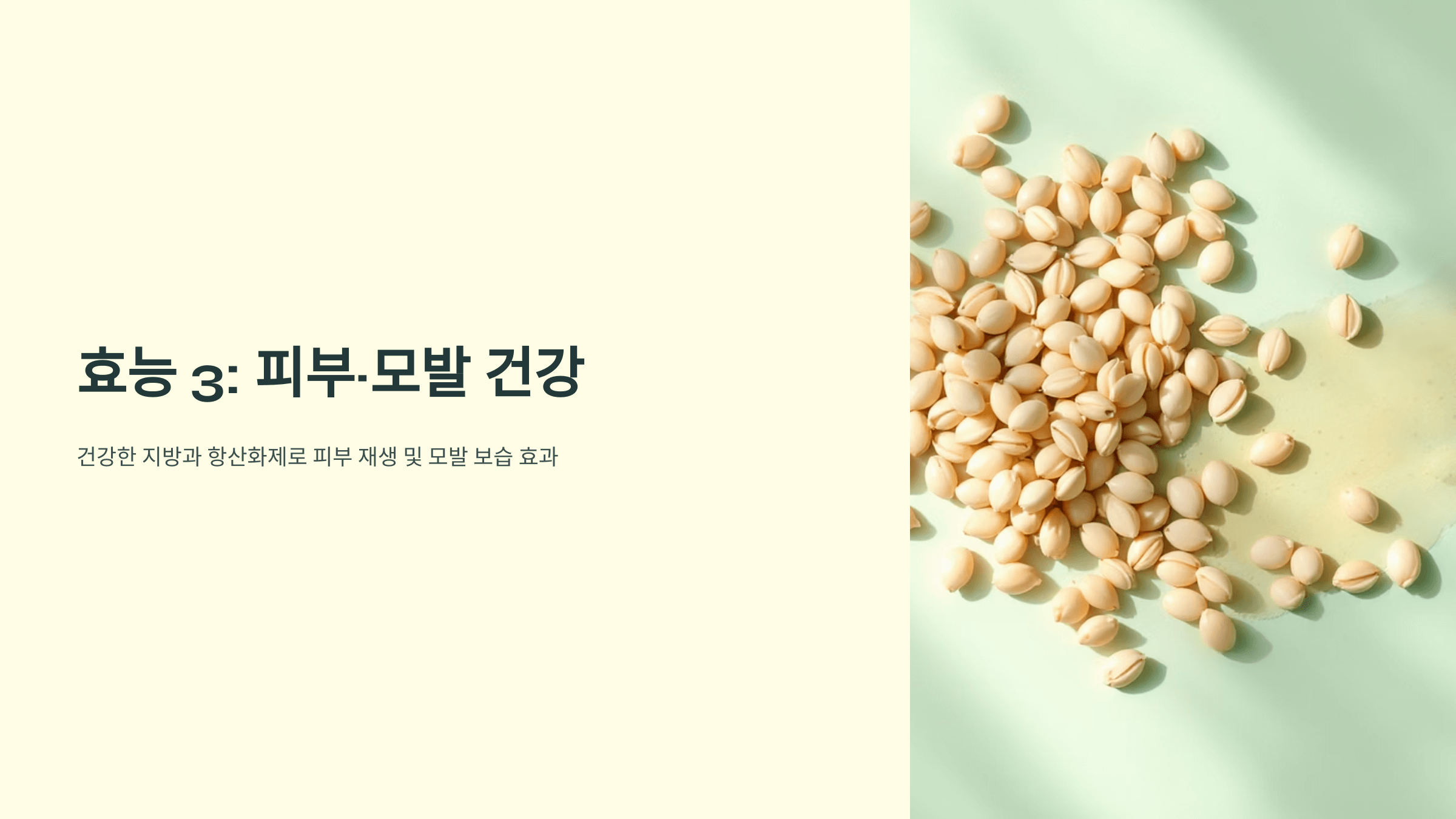 해바라기씨 사진입니다.