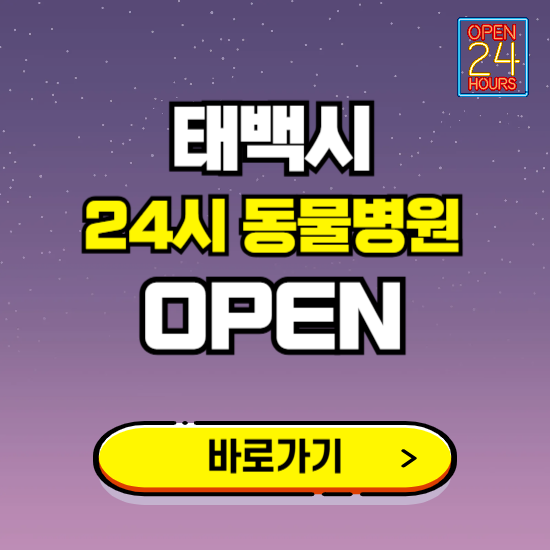 태백시 24시 동물병원 진료하는 곳 ❘ 설날 휴일 야간 심야 문여는곳 찾기 ❘ 응급진료