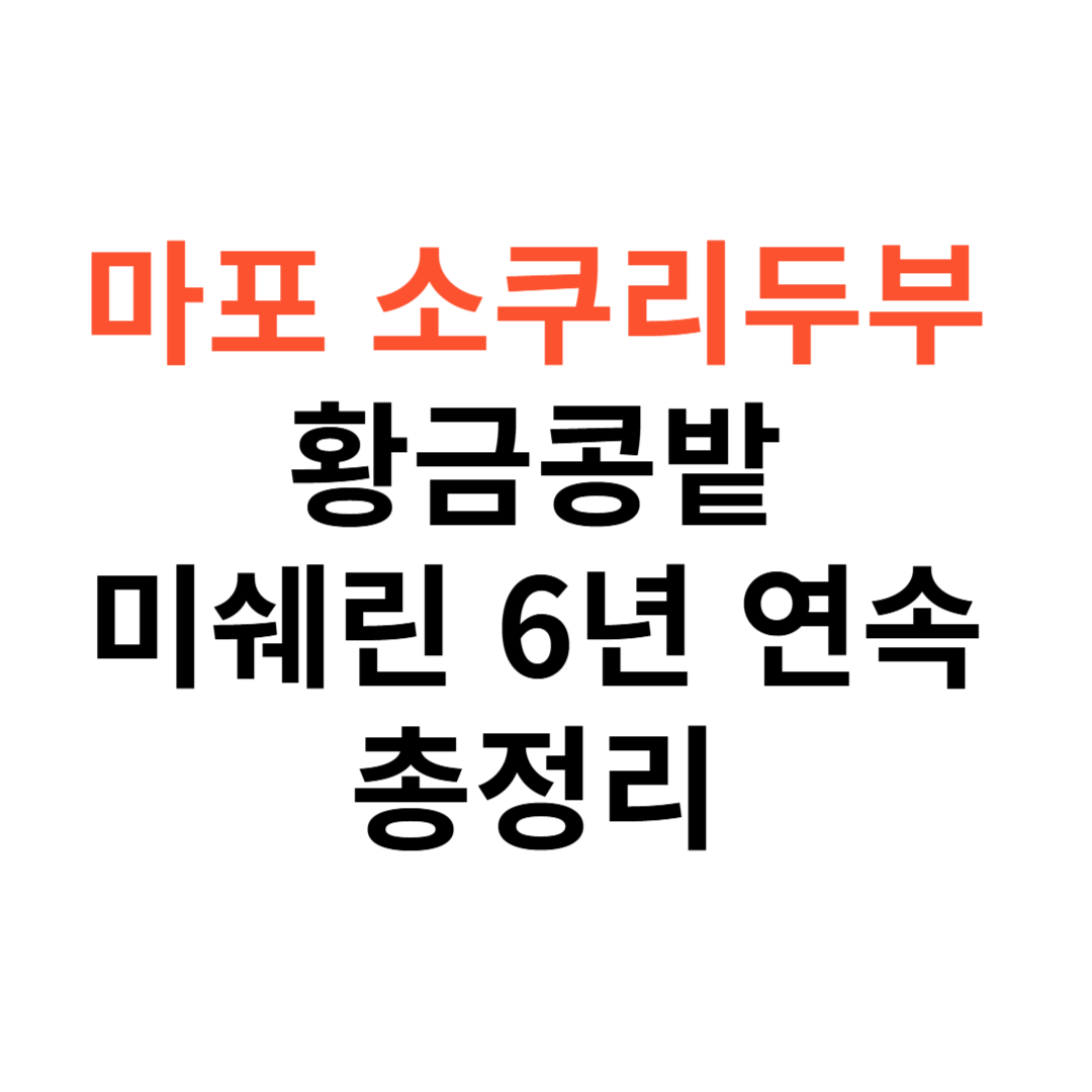마포 소쿠리두부