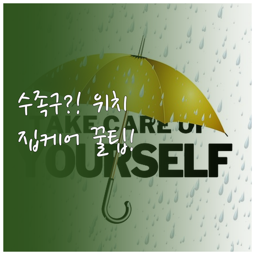 평창군 수족구 진료 병원 위치 및 집..