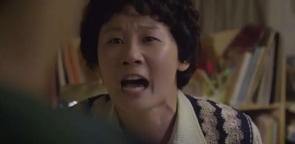 배우 김선영 프로필