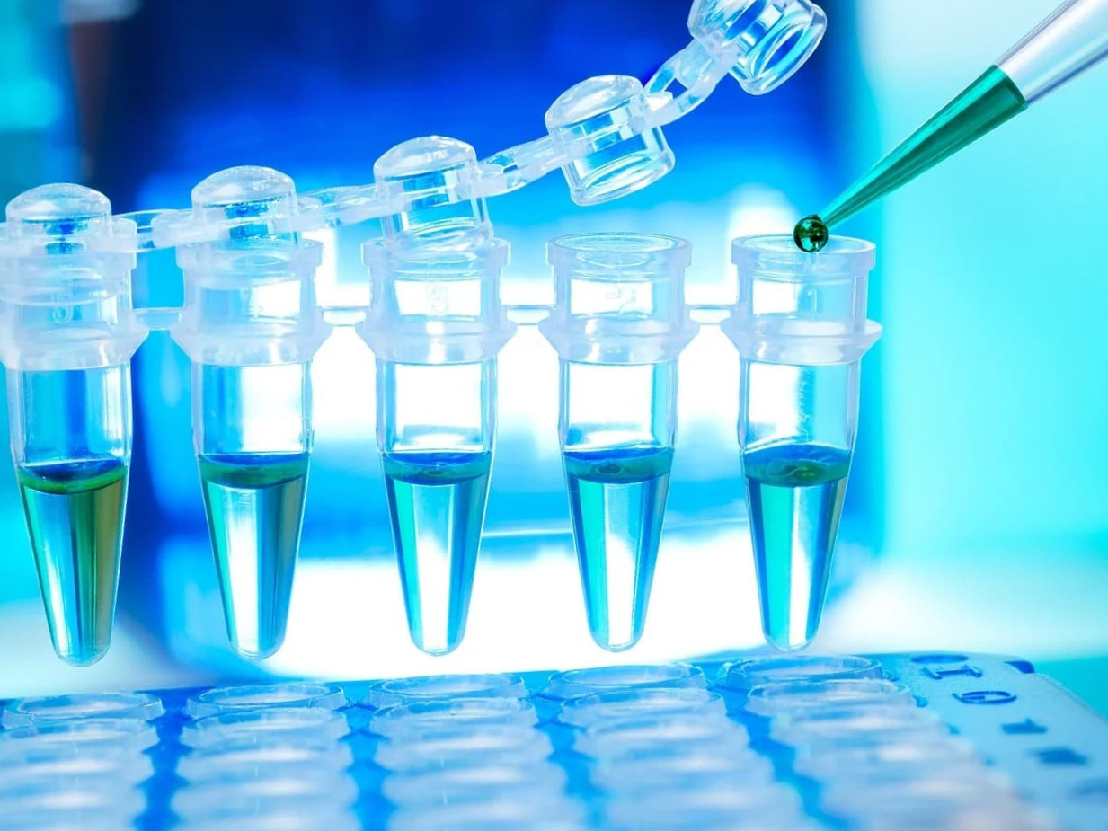 임상병리학 ; &quot;PCR vs RT-PCR vs qPCR, 무엇이 다를까?&quot; ❘ 감염병 진단과 유전자 연구 필수 검사 분석&quot;