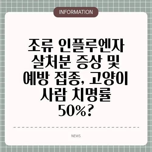 조류 인플루엔자 살처분 증상 및 예방 접종, 고양이 사람 치명률 50%?