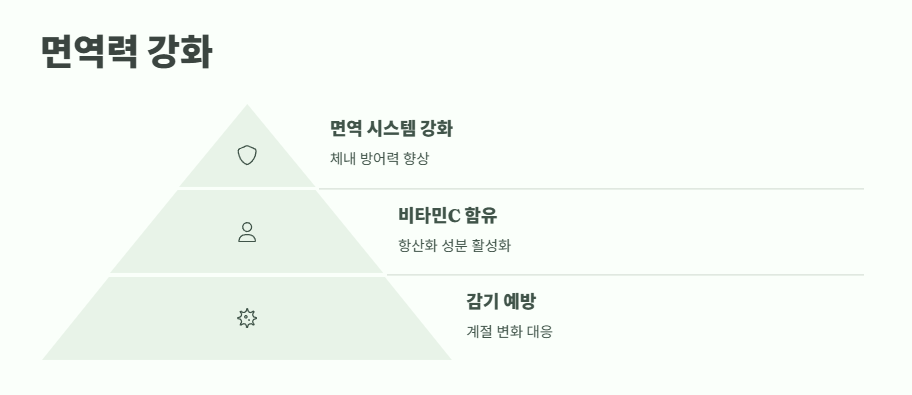 개복숭아효소의 효능 한눈에 보기 5