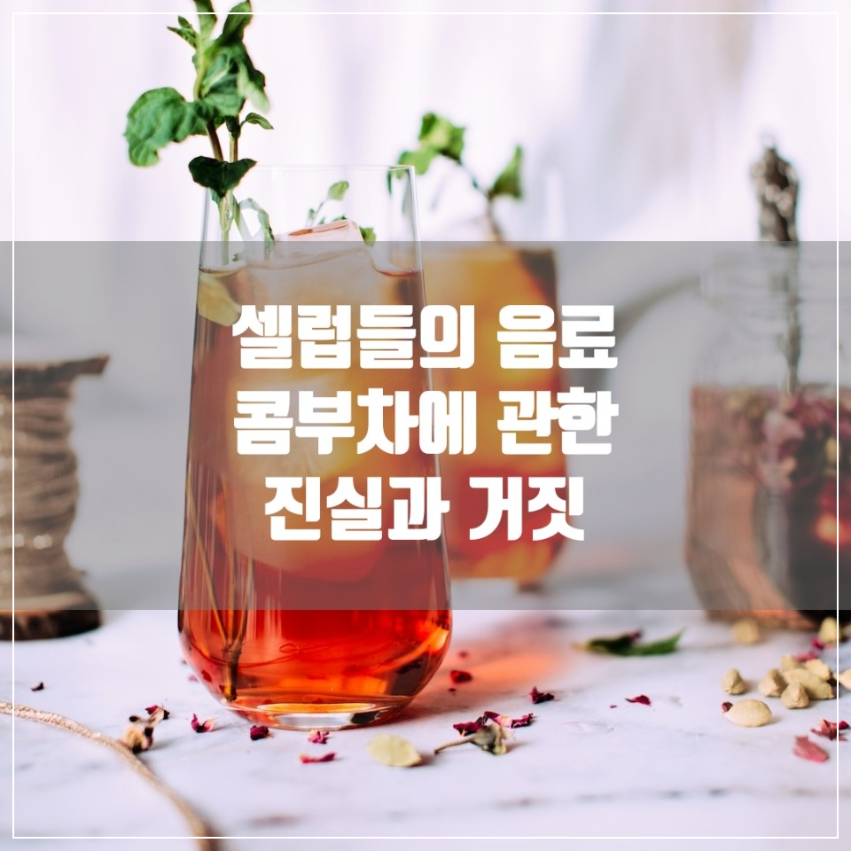 다이어트 음료로 알려진 콤부차에 대한 진실과 거짓