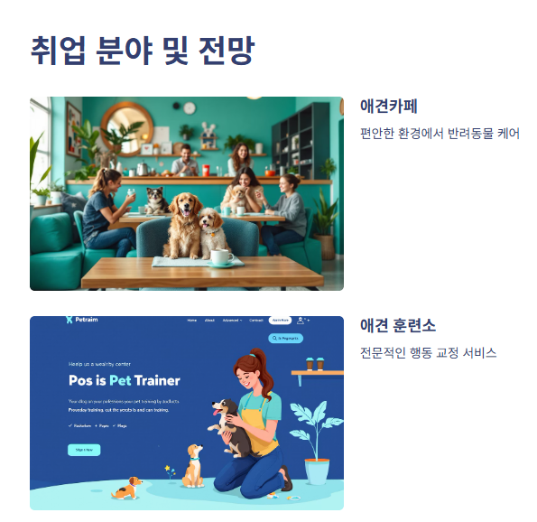 취업 분야 및 전망1