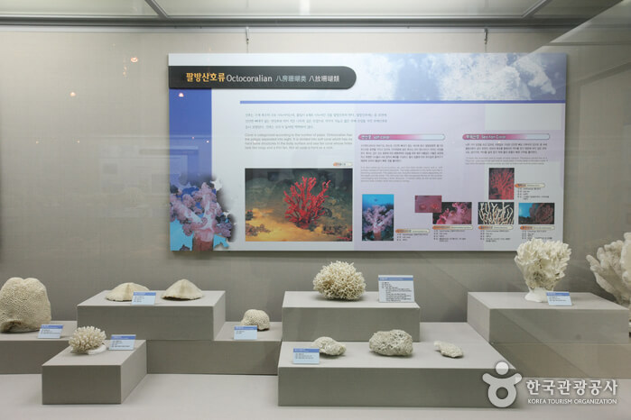 해양자연사박물관