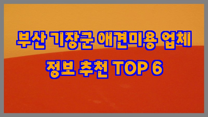 부산 기장군 애견미용