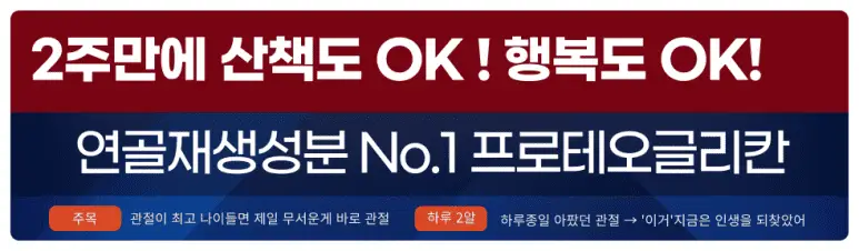 무릎관절영양제