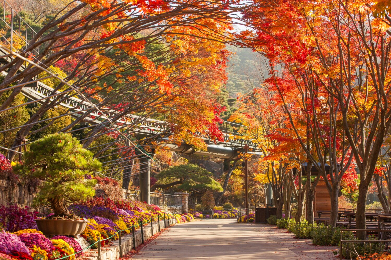 당일치기-서울-근교-단풍-구경-가볼만한-곳-화담숲