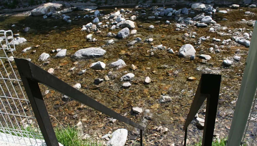 경기-가평-포시즌-캠핑장-사진-입니다.