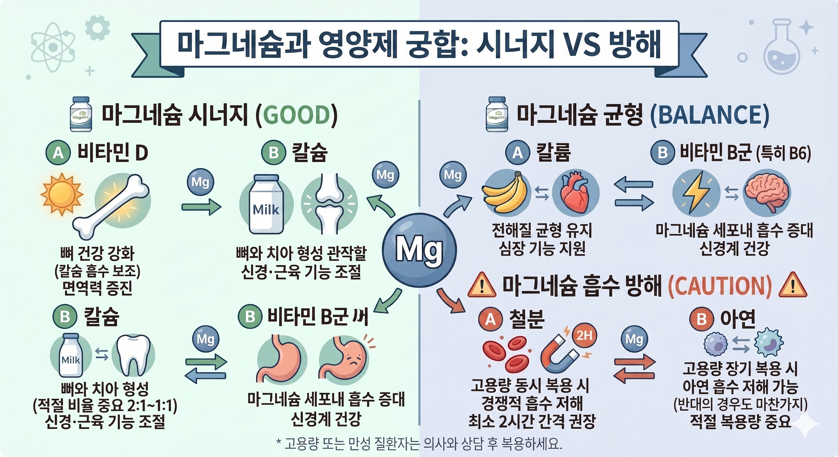 <img src="magnesium-supplement-combinations-good-vs-bad.jpg" alt="마그네슘과 시너지가 나는 비타민 D, 칼슘 그리고 흡수를 방해하는 철분 등의 영양제 궁합 인포그래픽">