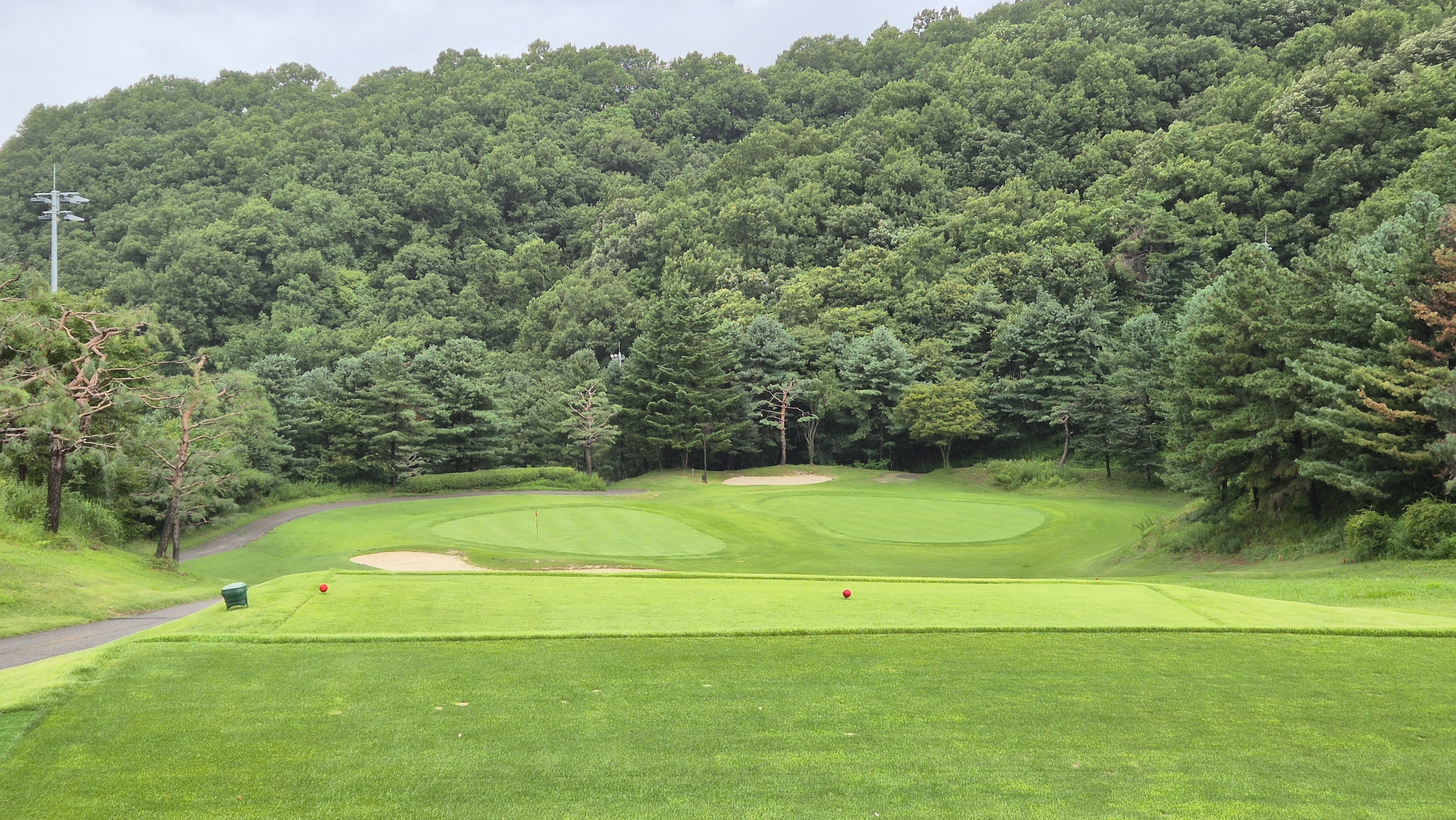 뉴서울cc 예술in-문화in 코스 사진 및 공략 정보