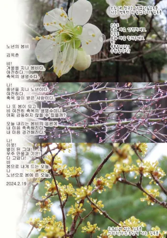 봄비 인사말 이미지 비오는날 일러스트_11