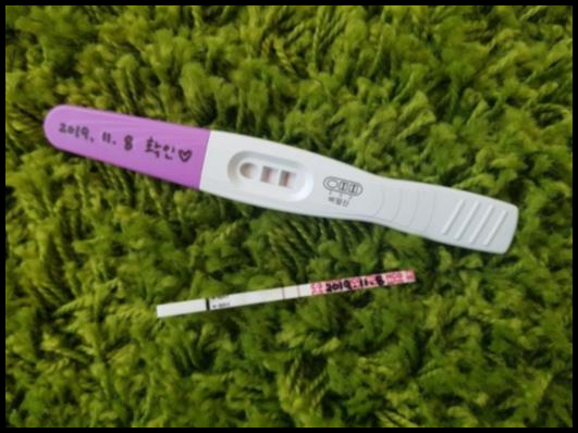 임신 극초기증상