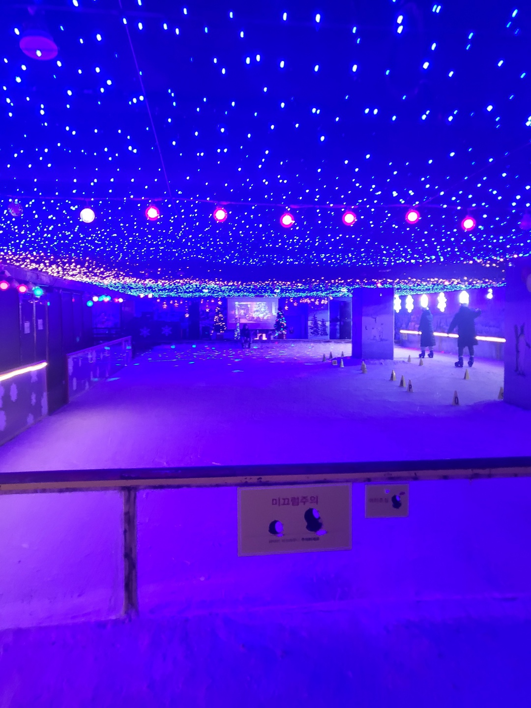 피터스원 키즈파크 (울산 키즈카페)