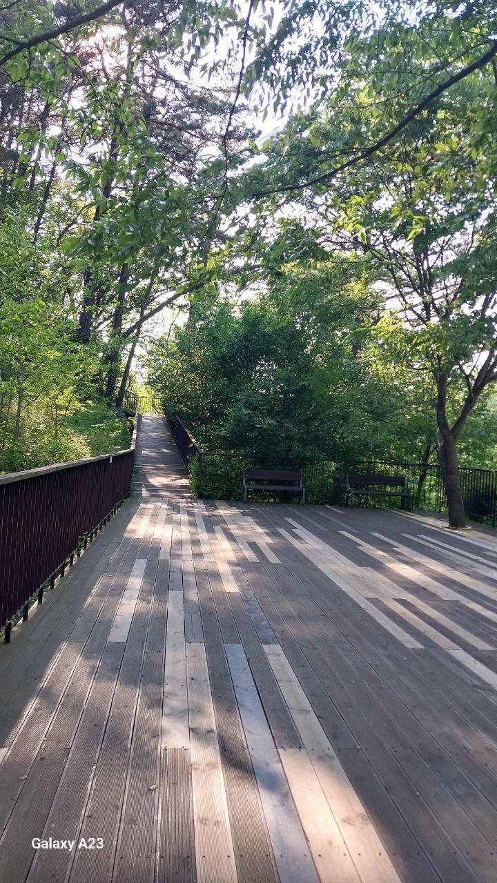 파주 율곡수목원 산책로