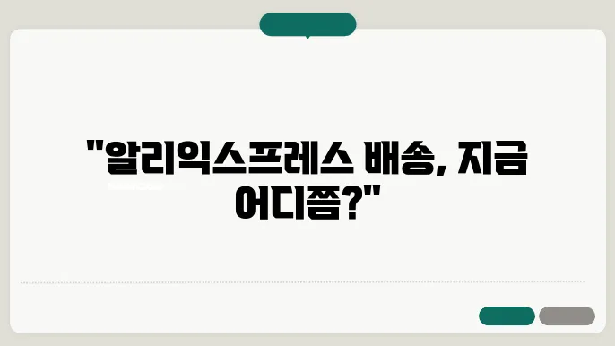 알리익스프레스 배송조회